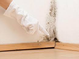 Mold Remediation for Rental Properties in Geneva, AL